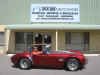 cobra5L.JPG (355526 bytes)